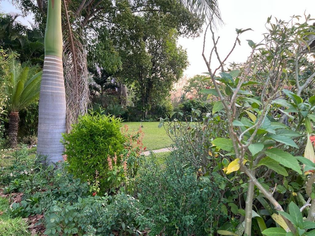Golden Bamboo Hotel Nyanda ภายนอก รูปภาพ